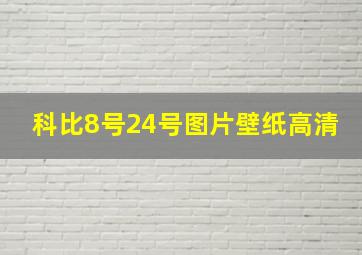 科比8号24号图片壁纸高清