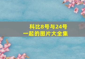 科比8号与24号一起的图片大全集