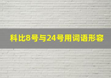 科比8号与24号用词语形容