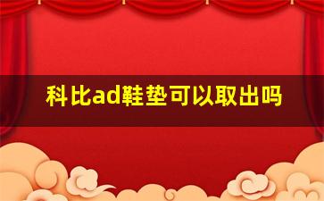 科比ad鞋垫可以取出吗