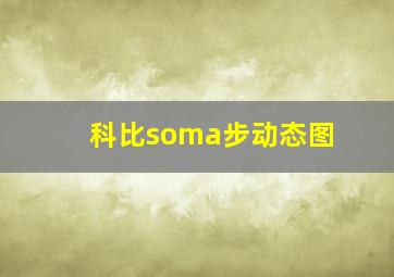 科比soma步动态图