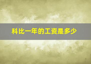 科比一年的工资是多少