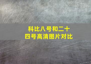 科比八号和二十四号高清图片对比