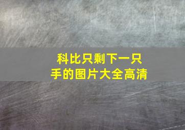 科比只剩下一只手的图片大全高清