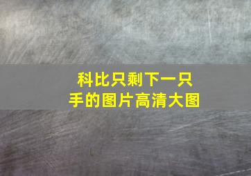 科比只剩下一只手的图片高清大图