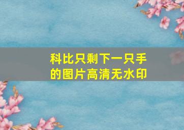 科比只剩下一只手的图片高清无水印