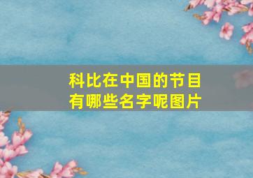 科比在中国的节目有哪些名字呢图片