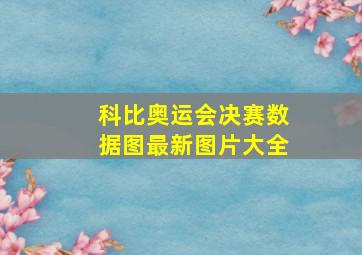 科比奥运会决赛数据图最新图片大全