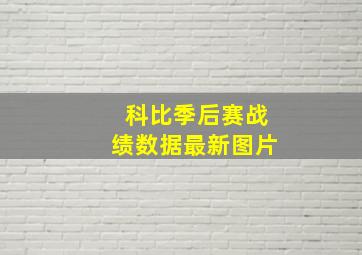 科比季后赛战绩数据最新图片