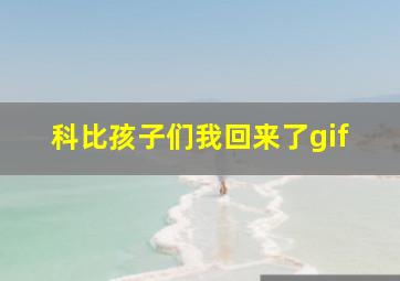 科比孩子们我回来了gif