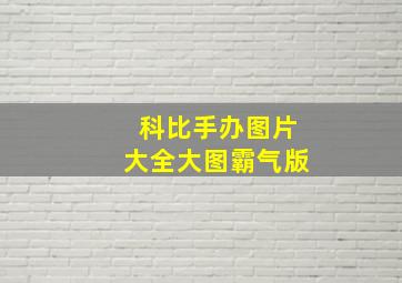 科比手办图片大全大图霸气版