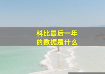 科比最后一年的数据是什么