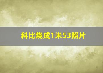 科比烧成1米53照片