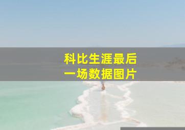 科比生涯最后一场数据图片