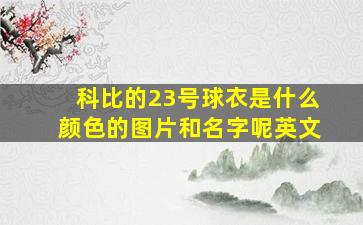 科比的23号球衣是什么颜色的图片和名字呢英文