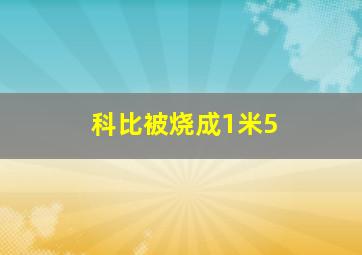 科比被烧成1米5