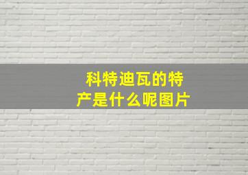 科特迪瓦的特产是什么呢图片