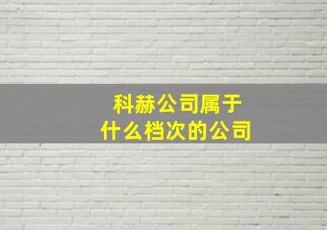 科赫公司属于什么档次的公司