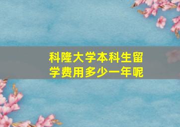 科隆大学本科生留学费用多少一年呢