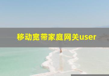 移动宽带家庭网关user