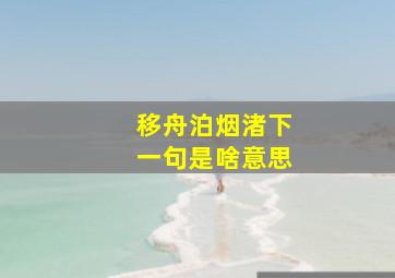 移舟泊烟渚下一句是啥意思