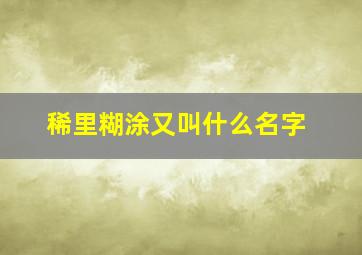 稀里糊涂又叫什么名字