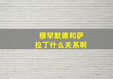 穆罕默德和萨拉丁什么关系啊