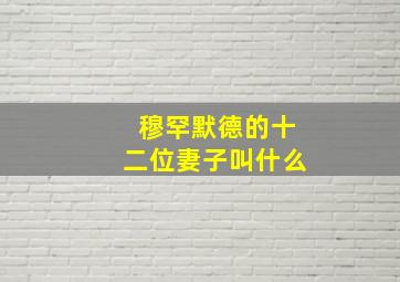 穆罕默德的十二位妻子叫什么