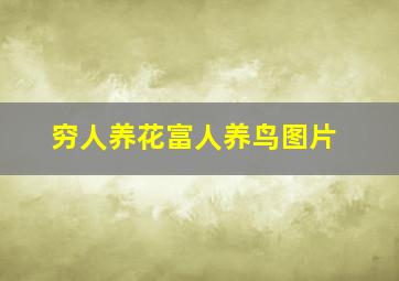 穷人养花富人养鸟图片