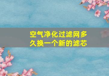 空气净化过滤网多久换一个新的滤芯