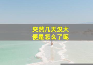 突然几天没大便是怎么了呢