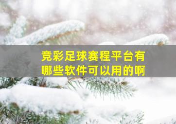 竞彩足球赛程平台有哪些软件可以用的啊