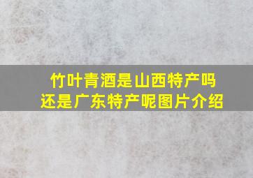 竹叶青酒是山西特产吗还是广东特产呢图片介绍