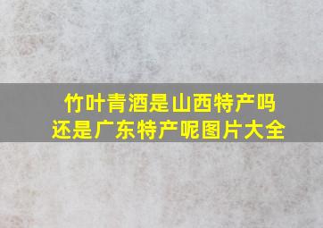 竹叶青酒是山西特产吗还是广东特产呢图片大全