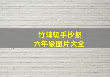 竹蜻蜓手抄报六年级图片大全