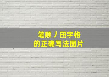 笔顺丿田字格的正确写法图片