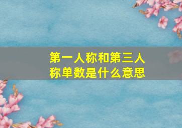 第一人称和第三人称单数是什么意思