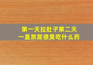 第一天拉肚子第二天一直放屁很臭吃什么药