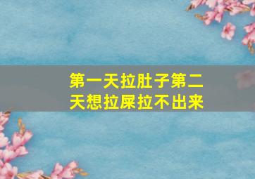 第一天拉肚子第二天想拉屎拉不出来