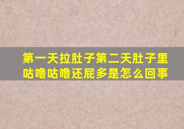 第一天拉肚子第二天肚子里咕噜咕噜还屁多是怎么回事