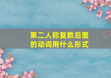 第二人称复数后面的动词用什么形式