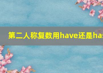 第二人称复数用have还是has