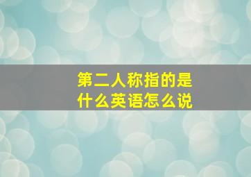 第二人称指的是什么英语怎么说