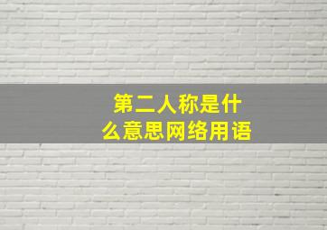 第二人称是什么意思网络用语