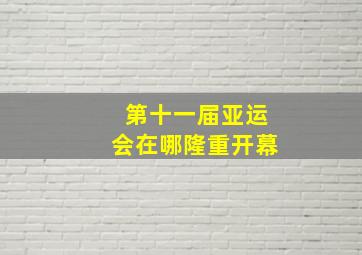 第十一届亚运会在哪隆重开幕