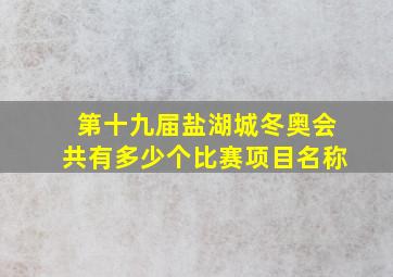 第十九届盐湖城冬奥会共有多少个比赛项目名称