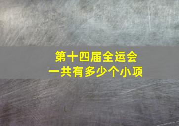 第十四届全运会一共有多少个小项