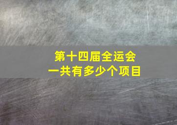 第十四届全运会一共有多少个项目