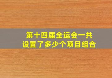 第十四届全运会一共设置了多少个项目组合