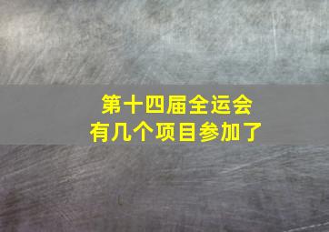 第十四届全运会有几个项目参加了